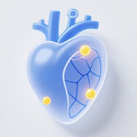 Cardiovascular Catheters