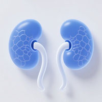 Urological Systems