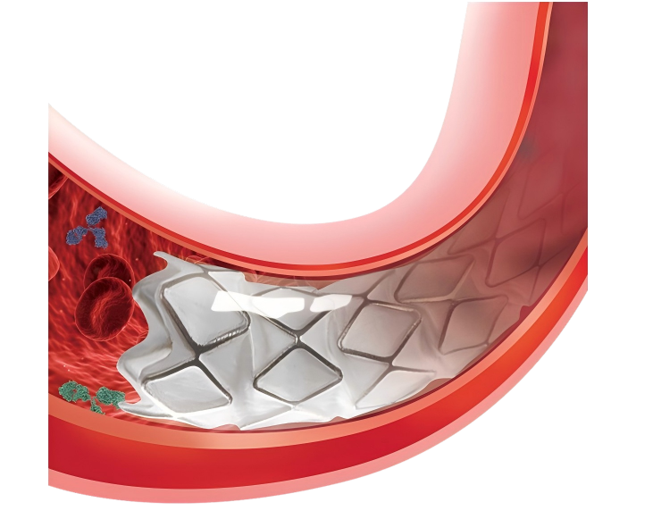 image7.png